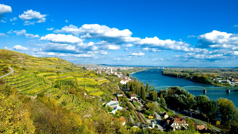 Landscape with vineyards, river and bridge in Krems, Austria.