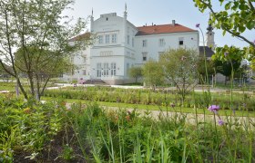 The Minoritenkloster in Tulln with a well-tended garden in the foreground.