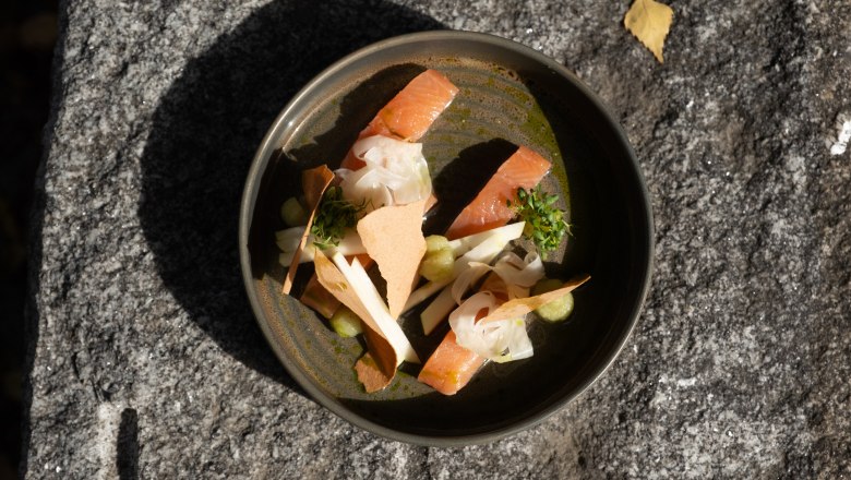 A plate with artfully arranged pieces of salmon trout, vegetables and herbs on a stone base.
