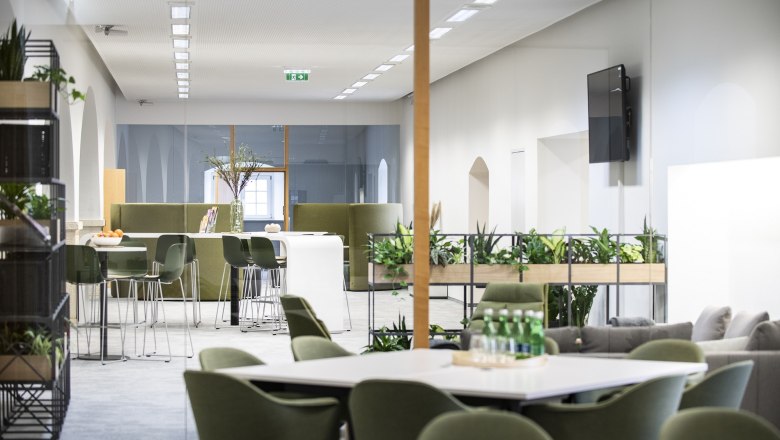 Modern office with green chairs, plants and tables.