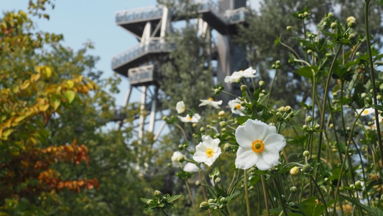 DIE GARTEN TULLN, © DIE GARTEN TULLN