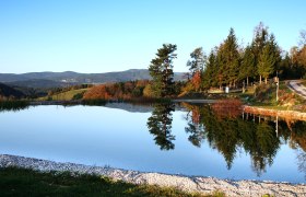 A tranquil pond reflects the trees and sky, surrounded by meadows and a house on the edge of the forest.