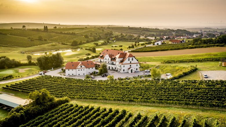 Aerial view of a hotel surrounded by vineyards at sunset.
